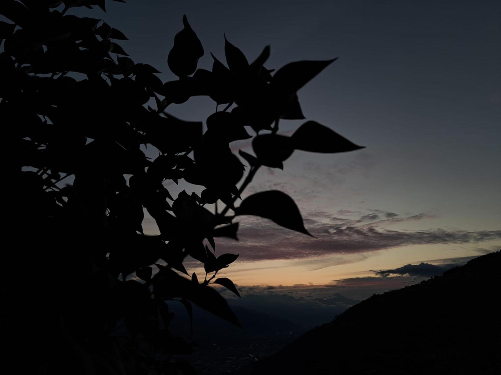 Affittacamere Alt'O Martinets Nendaz Esterno foto